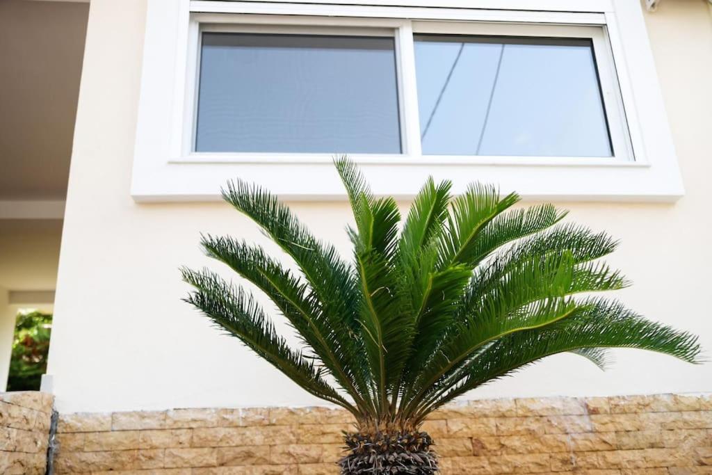 Cozy Apartment Near Airport كوروبيون المظهر الخارجي الصورة